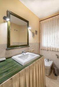 a bathroom with a sink and a mirror and a toilet at El Bosque de la Herrezuela in Guisando