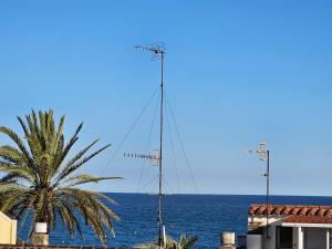 a sail boat in the ocean with a palm tree at La Pilona Beach Hostel in Malgrat de Mar