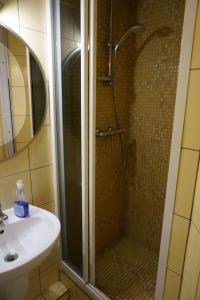 a shower with a glass door next to a sink at Apartament Żywiec in Żywiec