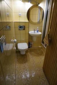 a small bathroom with a toilet and a sink at Apartament Żywiec in Żywiec