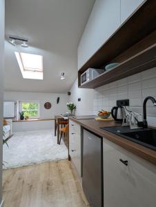 a kitchen with a sink and a counter top at Kolejowy Zajazd 1 in Łódź