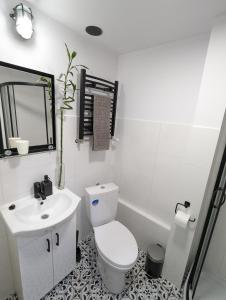 La salle de bains est pourvue de toilettes blanches et d'un lavabo. dans l'établissement Kolejowy Zajazd 2, à Łódź