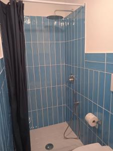 a blue tiled bathroom with a shower and a toilet at Casetta capodimonte in Naples