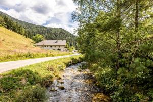 a road next to a river next to a house at Mountain Horse Ranch Vienna Alps 