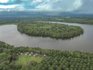 an island in the middle of a large river at Hostel Lodge la Herradura in San José del Guaviare