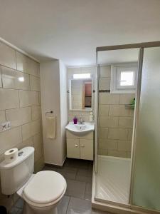 ein Bad mit einem WC, einer Dusche und einem Waschbecken in der Unterkunft FatCow Seaside Suites in Livadhia