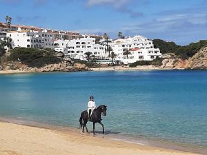 a person riding a horse on the beach at Apartamento en Arenal a 5 minutos de la playa in Arenal d'en Castell