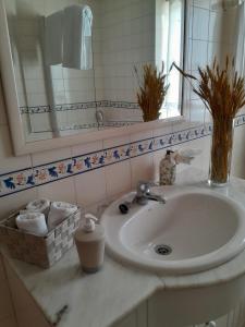 エシュポゼンデにあるCasa Ruralのバスルーム(洗面台、鏡付)