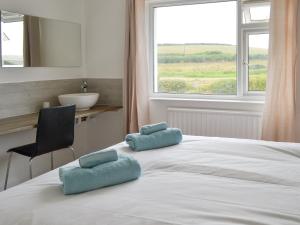 a bedroom with a bed with a sink and a window at Swallows Nest in Bude