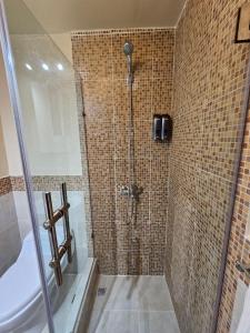 a bathroom with a shower with a toilet and a sink at 1BDR Private Beach Access at Los Corales PuntaCana in Punta Cana