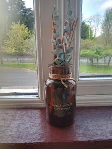 una planta en un frasco de albañiles delante de una ventana en El Roi Guesthouse, en Waterford