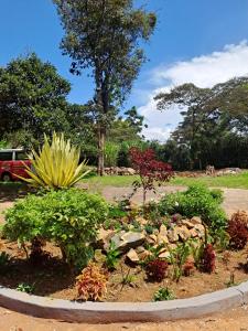 a garden with flowers and plants in a park at The Yala Home in Eldoret