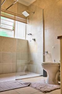 La salle de bains est pourvue de toilettes et d'une douche en verre. dans l'établissement Karabo's Nest, à Johannesbourg