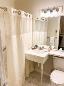 a bathroom with a sink and a shower curtain at Cedar Crest Inn in Camden