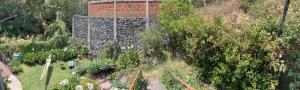 una vista aérea de un jardín con árboles y plantas en Loft panorámico en Tepoztlan, en Morelos