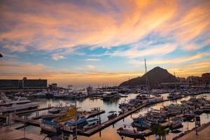 um grupo de barcos ancorados numa marina ao pôr-do-sol em Marina Junior suite em Cabo San Lucas