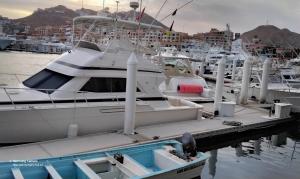 a group of boats docked in a harbor at Marina Junior suite in Cabo San Lucas