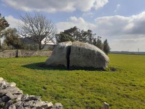 Une grande roche assise au milieu d'un champ dans l'établissement Shannon Park House, à Sligo