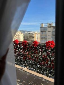 a row of red roses on a fence in a city at Elena Gestion in Marseille