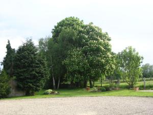 Příroda nedaleko bed and breakfast