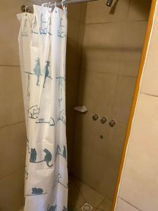 y baño con ducha y cortina de ducha. en Camping El Bolson en El Bolsón