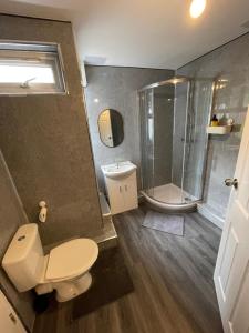 a bathroom with a shower and a toilet and a sink at Urban Loft Studio #1 in London