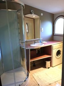 a bathroom with a sink and a washing machine at Gite Du Lac Der Grue in Bignicourt-sur-Marne