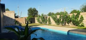 una piscina nel cortile di una casa di Quinta Don Carvalho a Goya