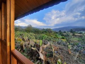 una vista desde una ventana de un campo de cactus en El Glamping de Calixto, Villa de Leyva, en Sáchica