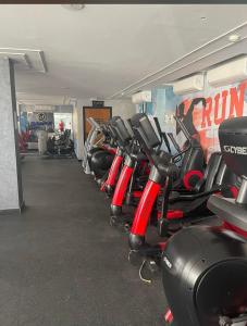a row of exercise bikes in a gym at Amazing Maadi Apartment ( Spa & fitness ) in Cairo