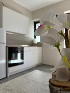 Η κουζίνα ή μικρή κουζίνα στο Borgo albergo vulturis