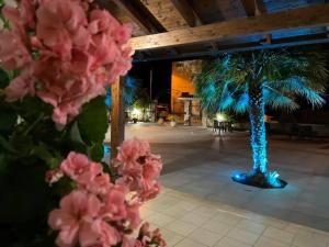Zahrada ubytování Borgo albergo vulturis