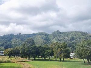 a group of trees in front of a mountain at Cosy homestay in Upper Hutt in Upper Hutt