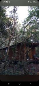 a log cabin with trees in front of it at cabañas y camping jv in Leandro N. Alem