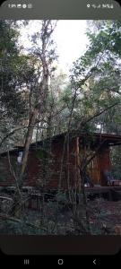 a log cabin with trees in front of it at cabañas y camping jv in Leandro N. Alem