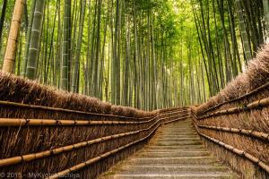 Paesaggio naturale nelle vicinanze della casa vacanze