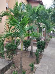 un grupo de palmeras frente a un edificio en Residencial Jardins Ilha de Itamaracá, en Vila Velha