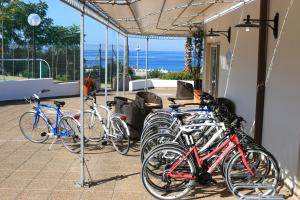 Jízda na kole v ubytování Hotel Residence Miramare nebo okolí