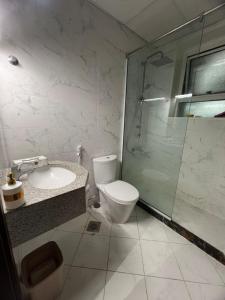 La salle de bains est pourvue de toilettes, d'un lavabo et d'une douche. dans l'établissement 2BHK apt. oasis tower, à Ajman