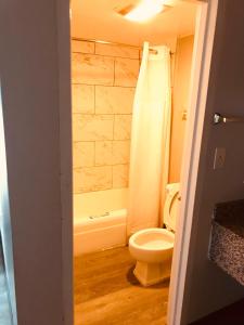 a bathroom with a white toilet and a shower at Delux Inn in Macon