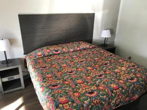 een slaapkamer met een bed met een kleurrijke deken bij Delux Inn in Macon