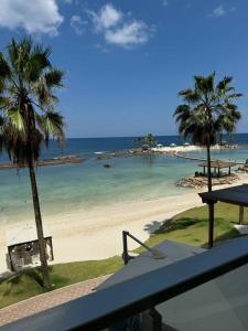 a view of a beach with palm trees and the ocean at Paraíso Frente al Mar en Playa Escondida in María Chiquita