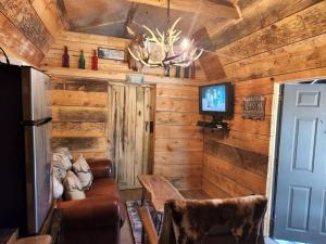 a living room with wooden walls and a chandelier at Lazy Bear Retreat by the Creek in Pickens