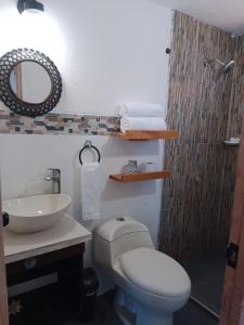 uma casa de banho com um WC, um lavatório e um espelho. em Posada MCKELLER em San Luis