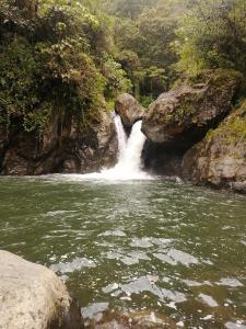 a waterfall in the middle of a river at Mario's Lodge Providencia in El Copey