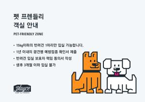 Husdjur som bor med gäster på Playce Camp Jeju