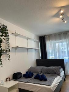 sypialnia z łóżkiem z niebieskimi poduszkami w obiekcie Cozy Central Apartment w Trewirze