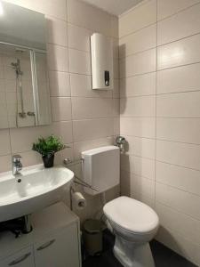 łazienka z białą toaletą i umywalką w obiekcie Cozy Central Apartment w Trewirze +5 zdjęć