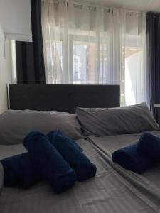 łóżko z niebieskimi poduszkami i oknem w obiekcie Cozy Central Apartment w Trewirze