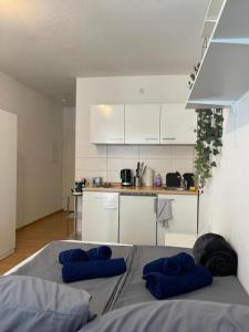 a kitchen with two blue pillows on a bed at Gemütliches Apartment Nähe Bahnhof in Trier